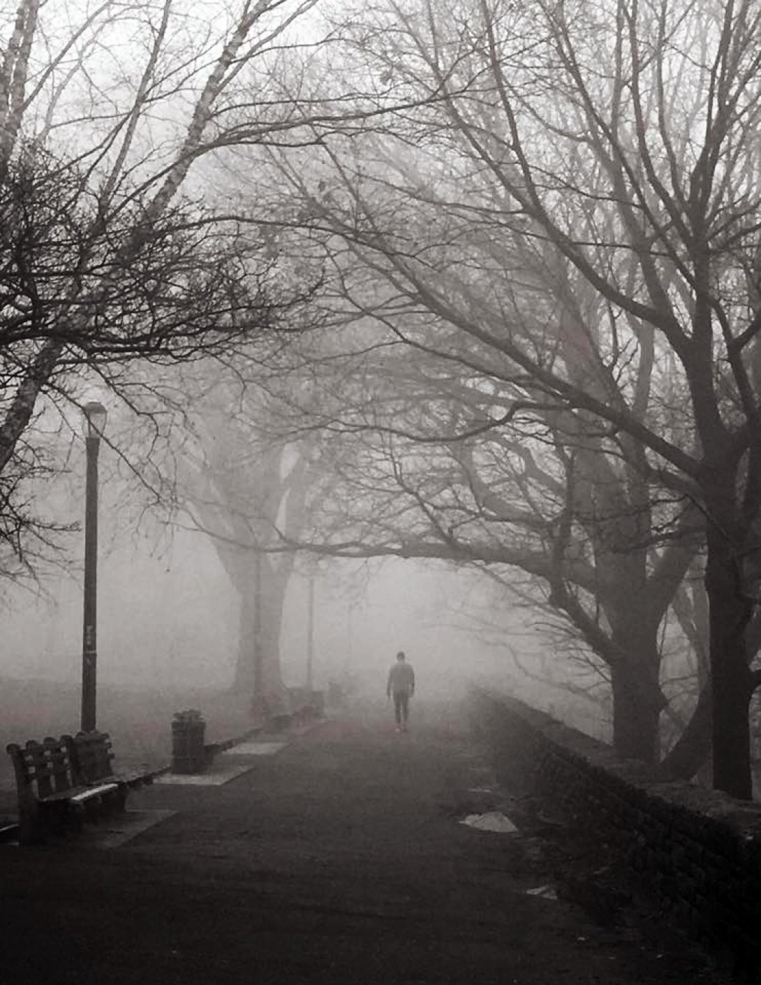 Hombre se aleja por un camino con niebla