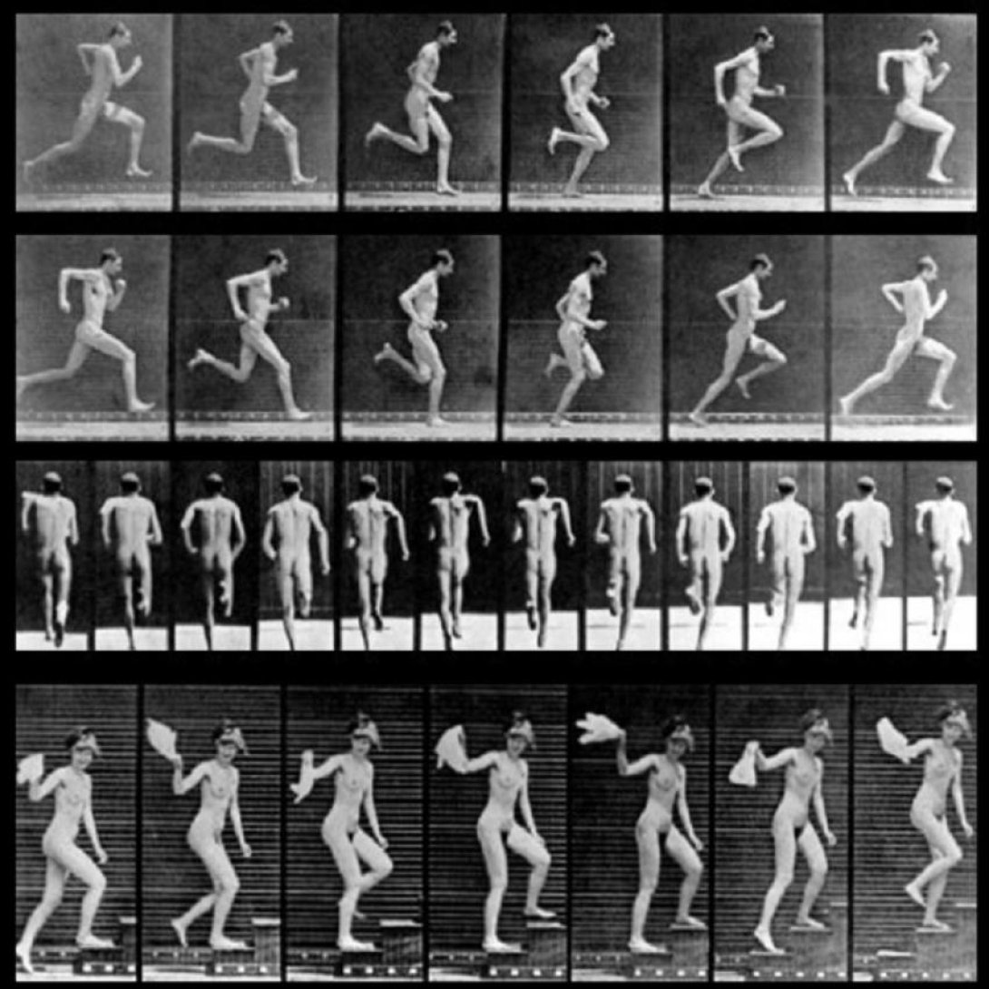ecuencias fotográficas cinéticas de Muybridge