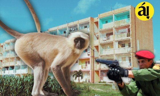 Ilustración sobre el mono que provocó alarma en Caibarién.