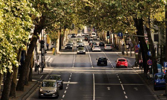 Coches carretera árboles avenida señales ciudad