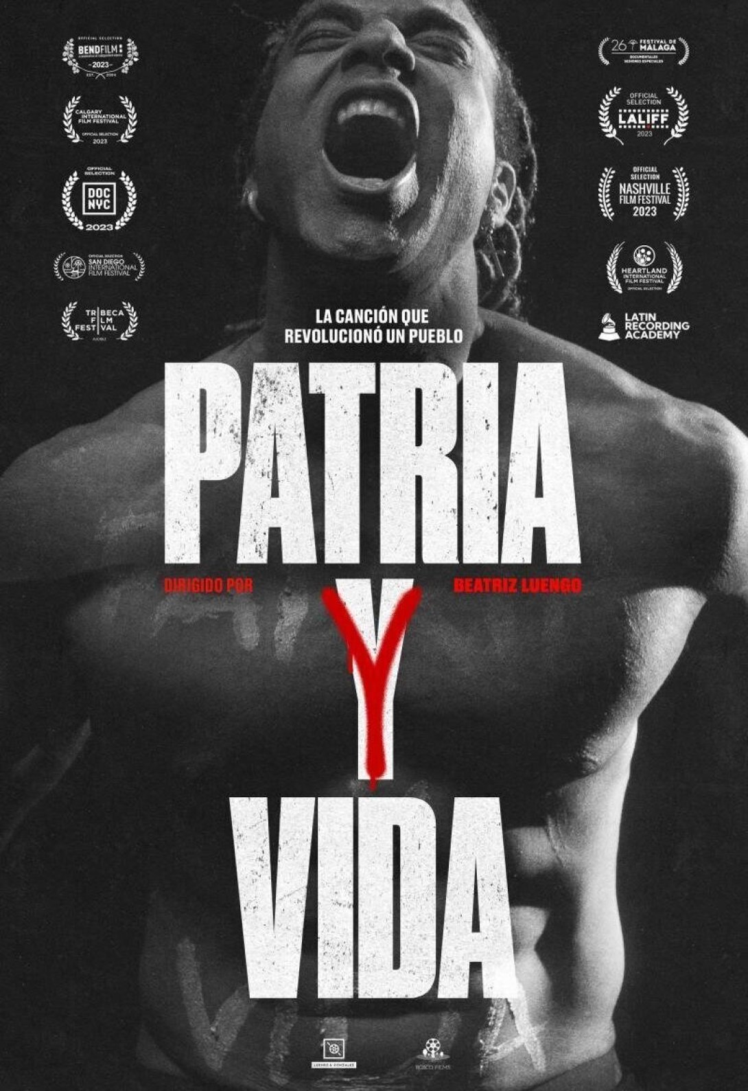 Cartel de la película "Patria y vida: el poder de la música"