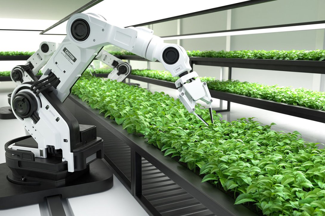 Inteligencia Artificial aplicada a la agricultura
