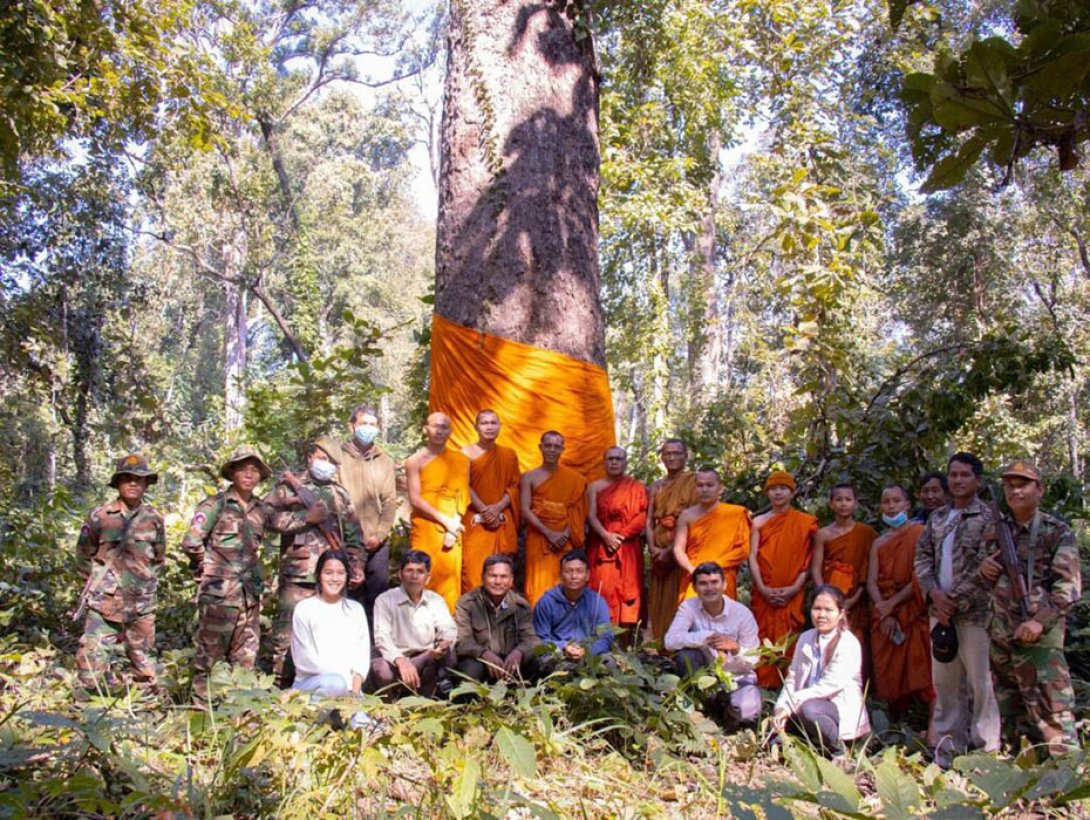 Monjes budistas, guardabosques y ecologistas junto a un árbol monje en Cambodia.