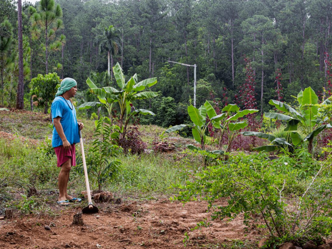 Abelito trabajando en el proyecto de permacultura Ramaviva.