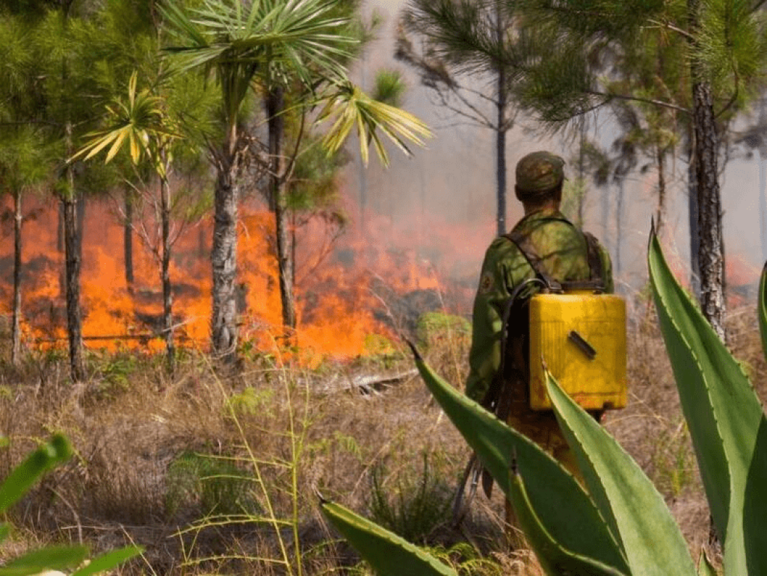 Bombero frente a un bosque en llamas durante un incendio masivo en Holguín, Cuba.