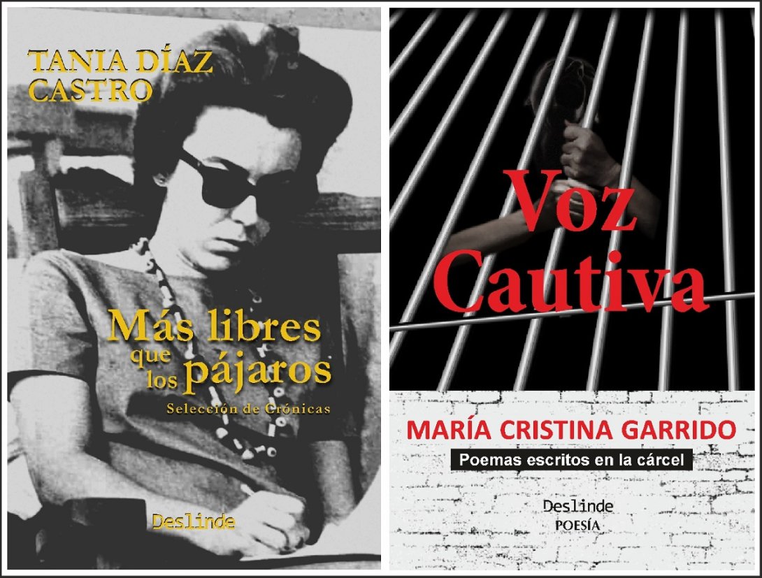 Portada de "Más libres que los pájaros", de Tania Díaz Castro y de "Voz cautiva", de María Cristina Garrido.