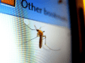 Mosquito en una computadora.