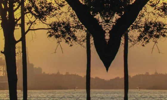 Detalle de la cubierta del libro "Para ver si alguien pasa con mi nombre" (2025), de Reinaldo Soto.