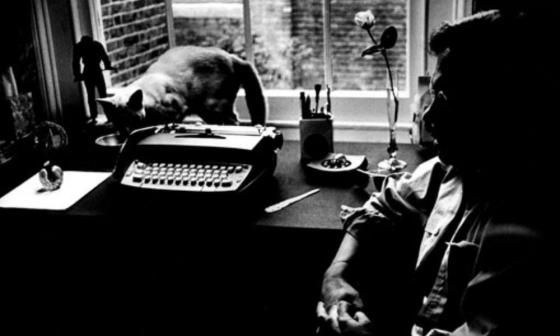 hombre, máquina de escribir y gato