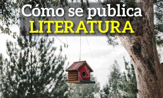 Pixabay: selección natural. Casa de pájaros que cuelga de un árbol.