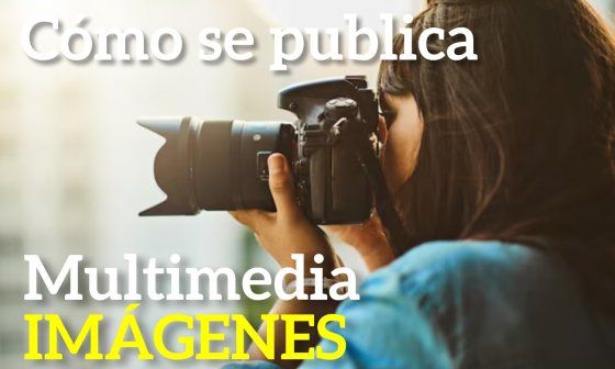 Diseño. Fotógrafa. Cómo se publica multimedia multimedia, imágenes.