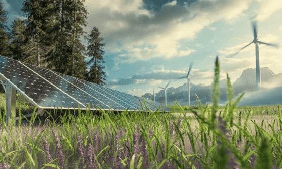 Fuentes de energía limpia y renovable: solar y eólica. 