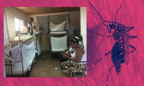 Dengue en Cuba. Pacientes