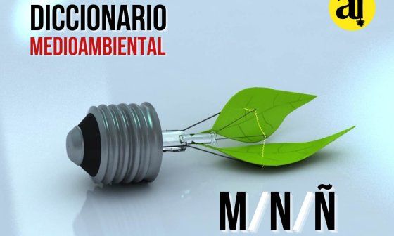 Diccionario Medioambiental. Letras MNN