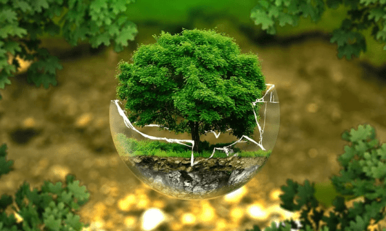 Árbol crece en esfera de cristal quebrada con bosque alrededor.
