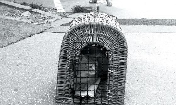 Gato encerrado en jaula de mimbre en la calle
