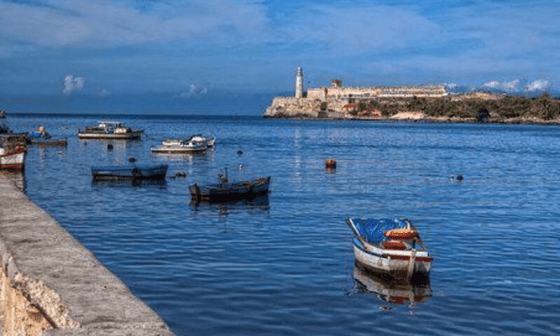 Botes en la bahía de La Habana. 