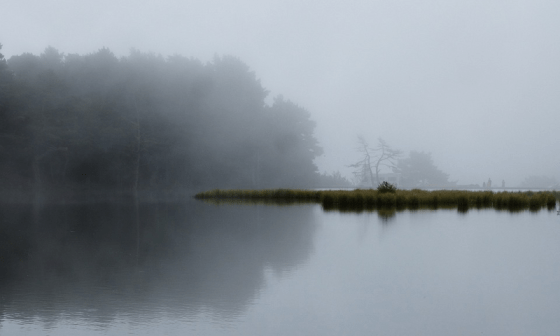 Lago con neblina.