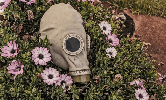 Máscara de gas sobre flores en un jardín representa la "banalización del mal".