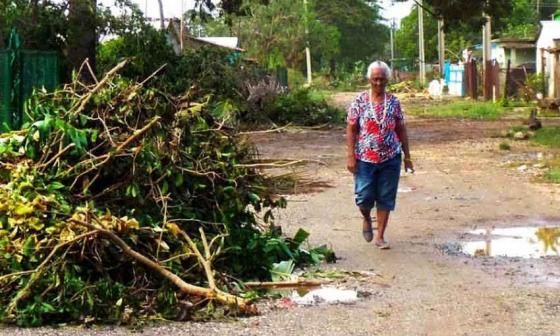 Mujer camina entre restos de ramas. Foto: Heriberto Machado