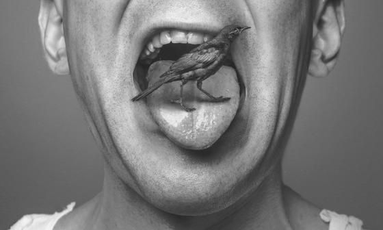 Pájaro posado sobre la lengua de un hombre.