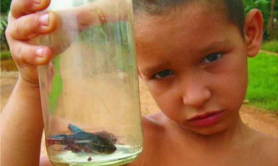 Niño con pez peleador en la botella. Foto: Francis Sánchez
