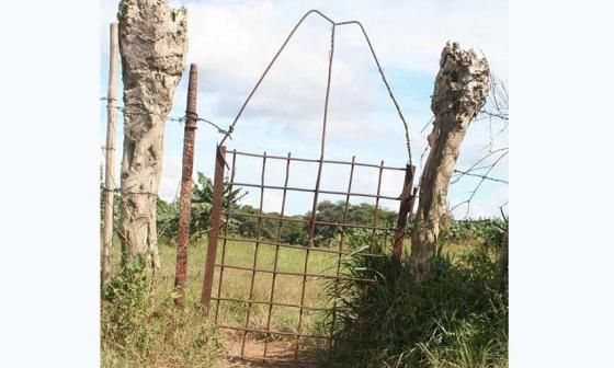 Puerta de cerca rural. Foto de Francis Sánchez