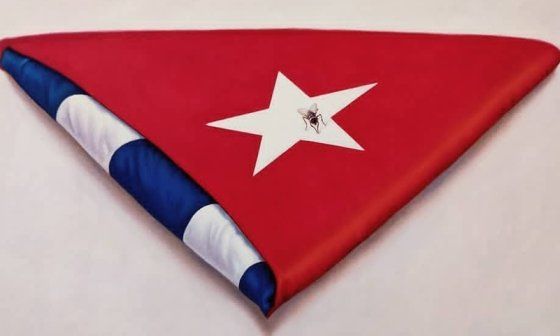Bandera cubana doblada con una mosca posada encima.
