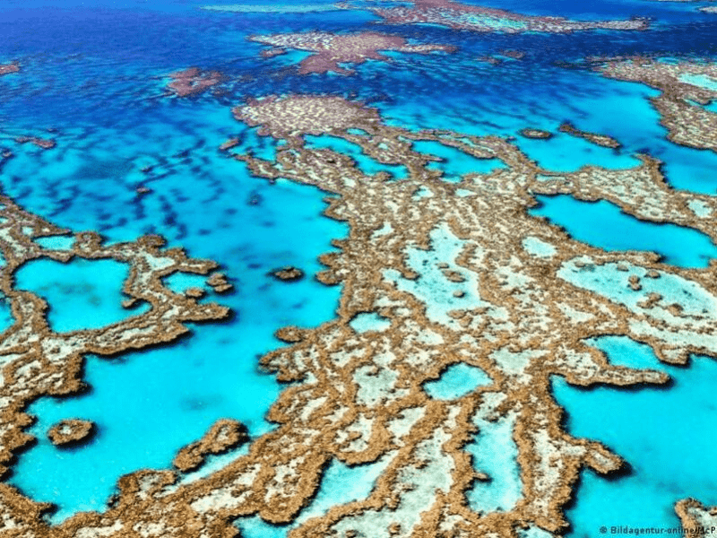 Gran barrera de coral en Australia.