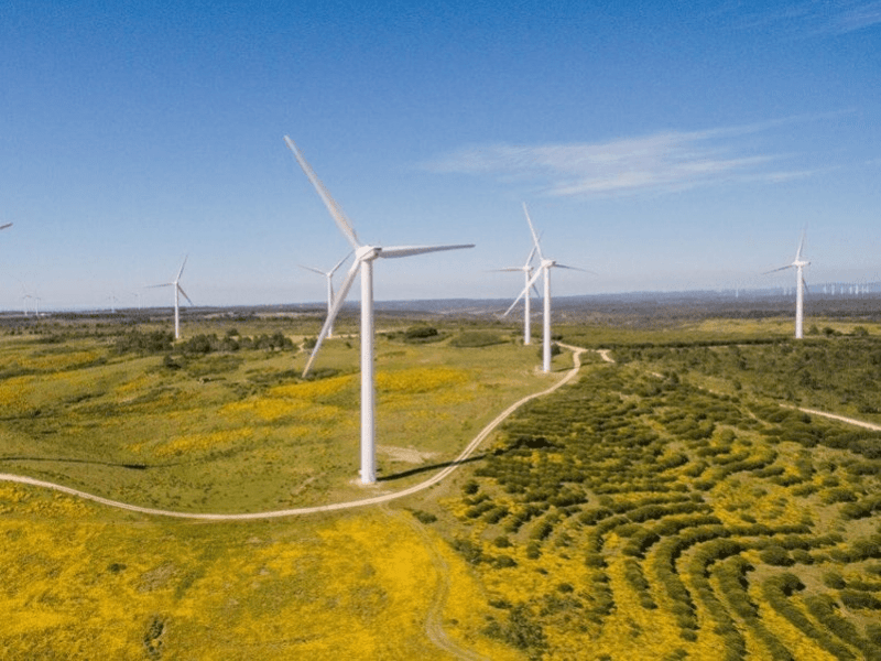 Parque de energía eólica en Portugal.