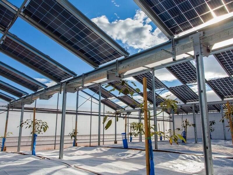 Aprovechando la Energía Solar: La magia del sol en tu hogar - Ambientum  Portal Lider Medioambiente