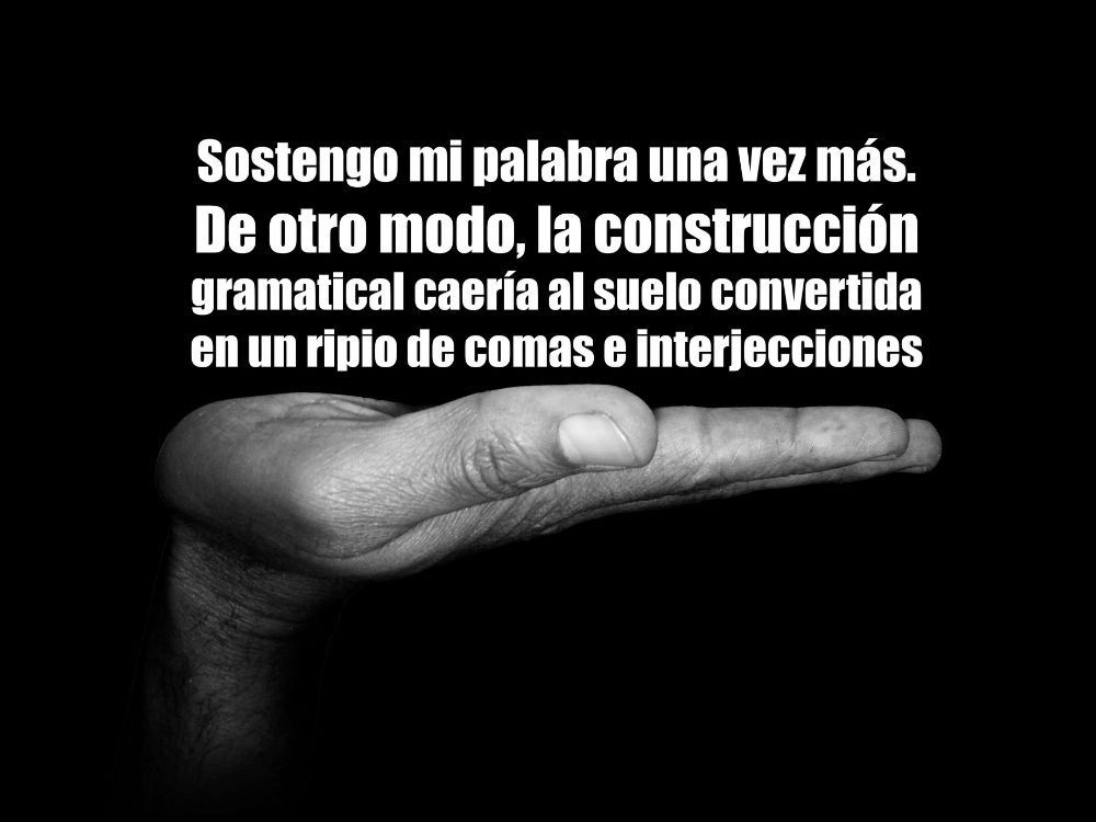  |  Imagen:  